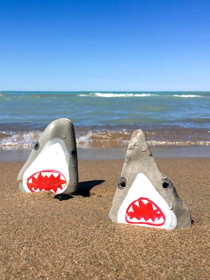 Painted Rocks Sharks