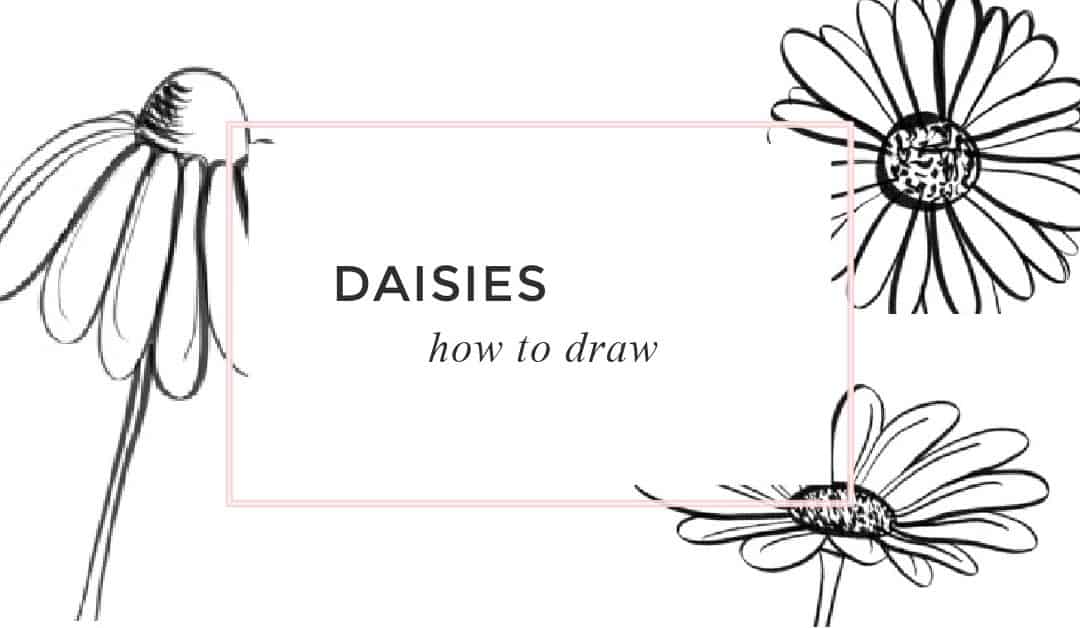 Daisy Drawing – How to Draw a Daisy – 4 Simple Daisy Doodles