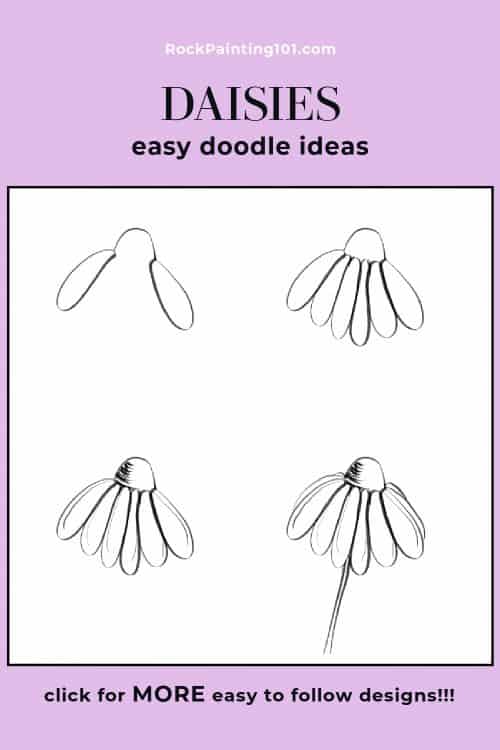daisy drawing for beginners