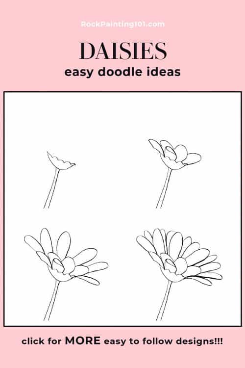 daisy flower drawing step by step
