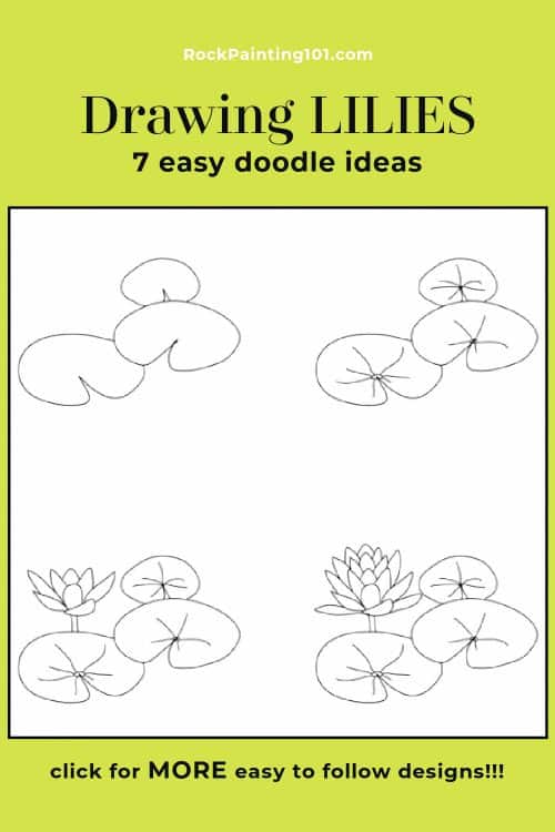 drawing lily pads step by step