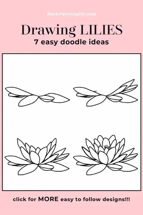 drawing water lily step by step