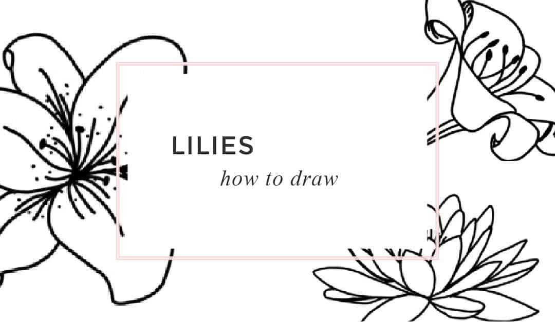 Lily Drawing – How to Draw a Lily Flower 7 Ways