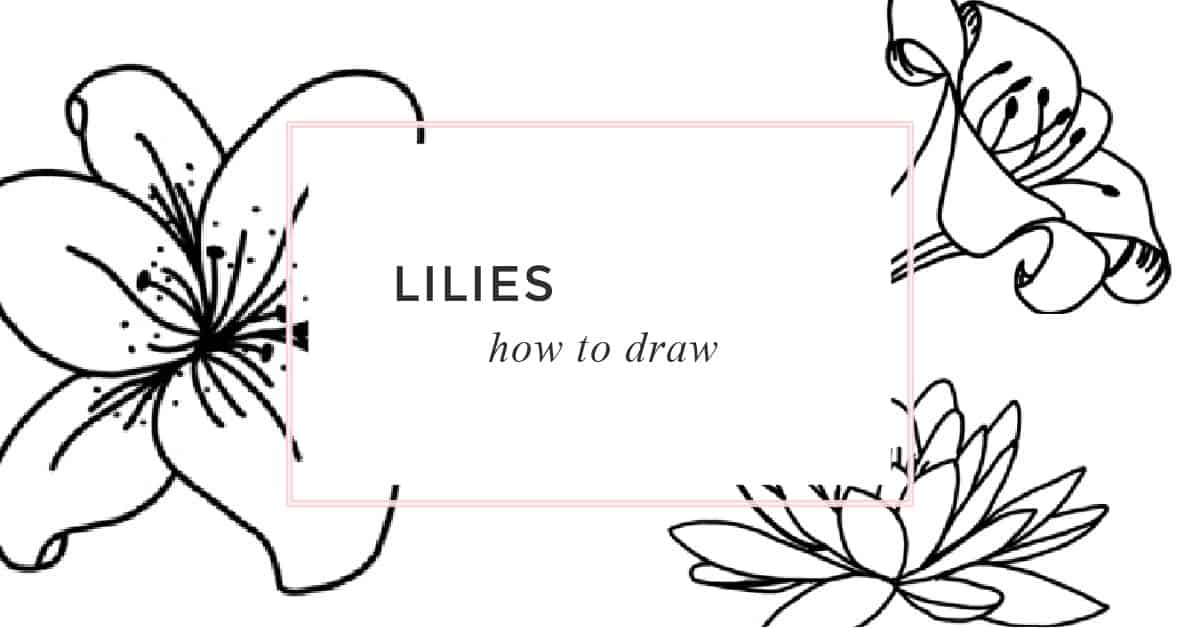 Lily Drawing - How to Draw a Lily Flower 7 Ways - Rock Painting 101