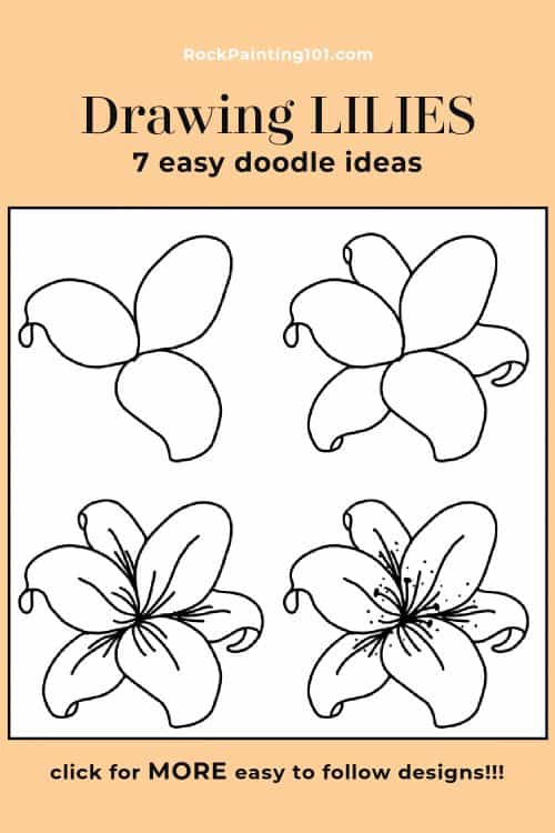 stargazer lily drawing step by step